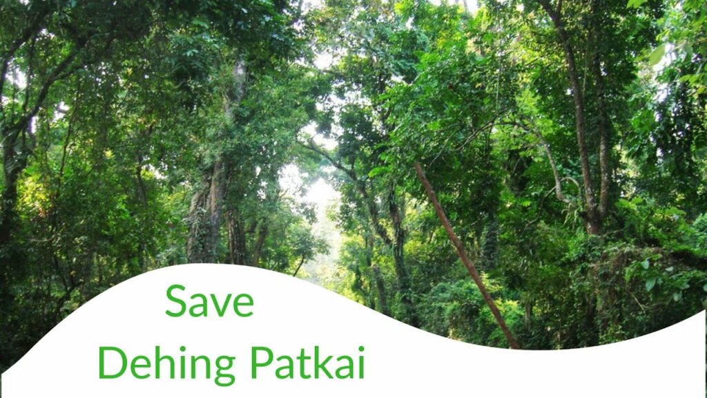 Shocking Reality Of Assam Rainforest Dehing Patkai 1000000beforeidie 5793